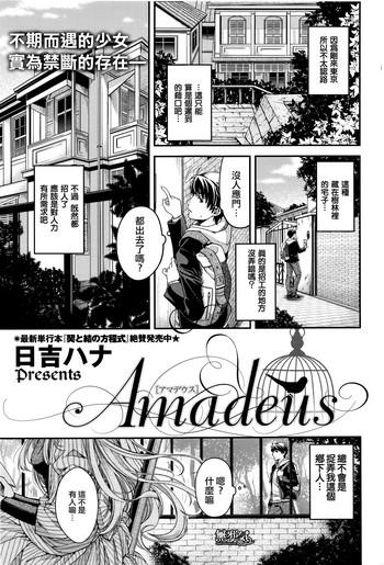amadeus cover