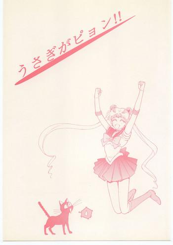 cover 105