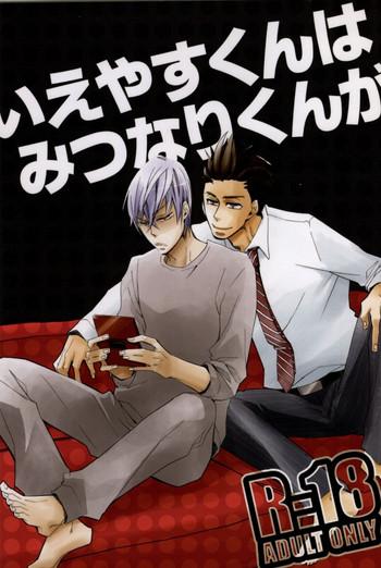 su enuko ieyasu kun wa mitsunari kun ga sengoku basara cover