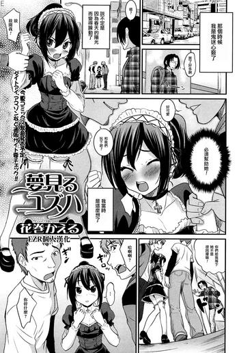 249035 cover