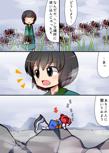 cover 10