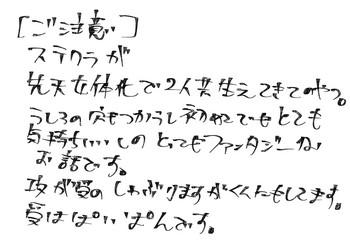 cover 11