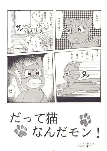 cover 44