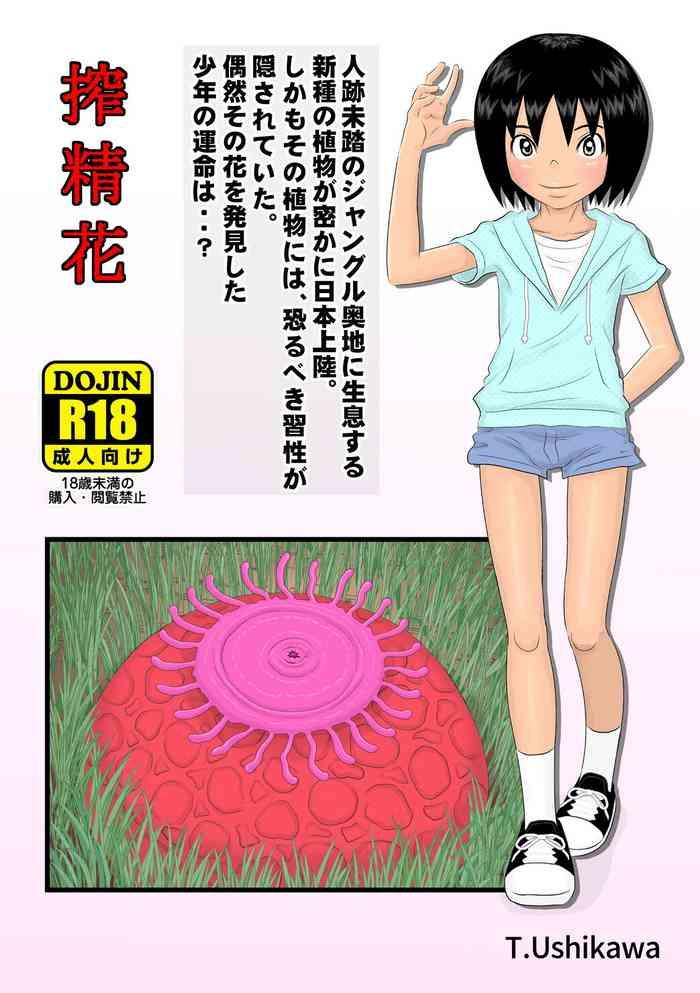 sakusei hana cover