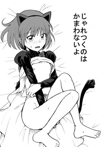cover 28