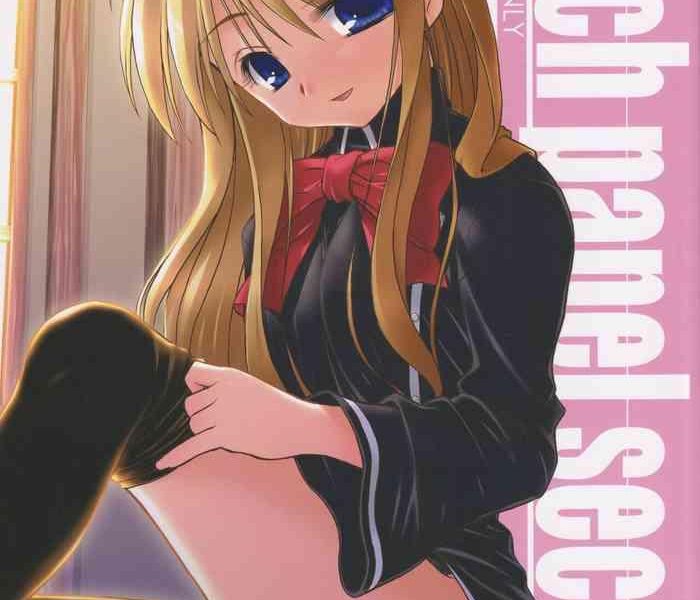 touch panel second cover